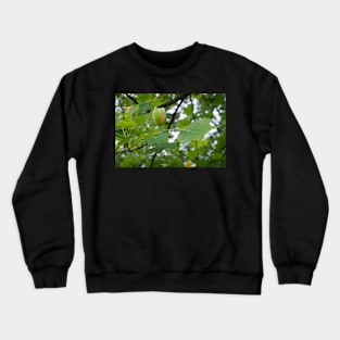 Oh, That's why it's Called a tulip tree Crewneck Sweatshirt